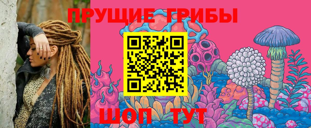 Усинск  Галлюциногенные грибы Cubensis  Вход с VPN 