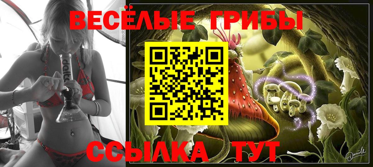 Псилоцибиновые грибы Psilocybine cubensis Усинск